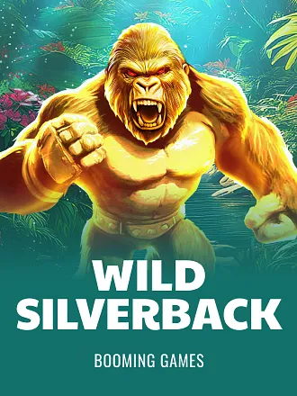 Wild Silverback